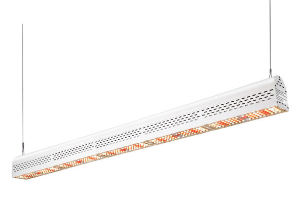 Linear led grow light 300W